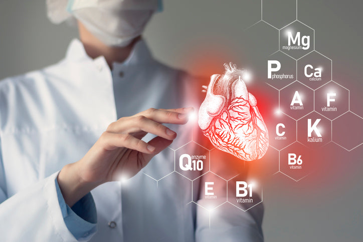 Die Bedeutung von Kalium und Magnesium für ein gesundes Herz