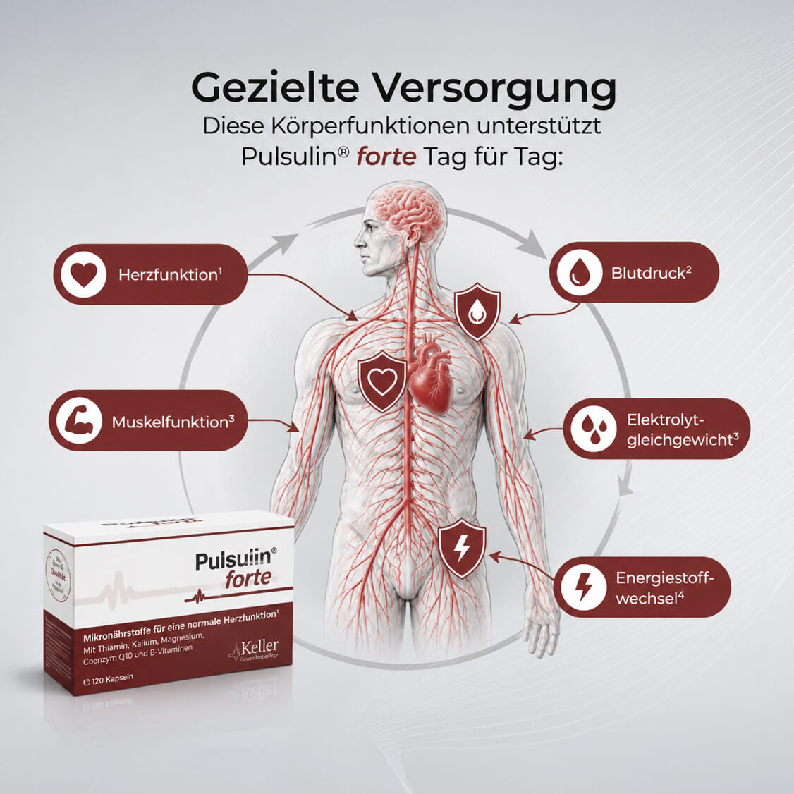 Pulsulin® forte Kapseln mit Thiagen® (90 Tage Rückgaberecht)